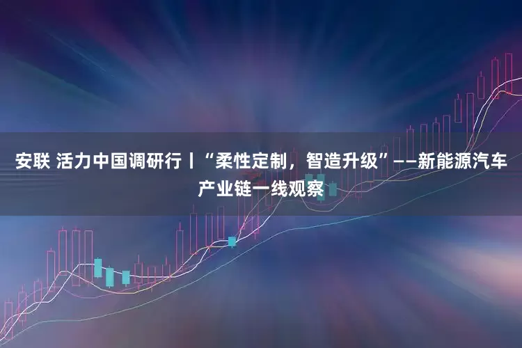 安联 活力中国调研行丨“柔性定制，智造升级”——新能源汽车产业链一线观察