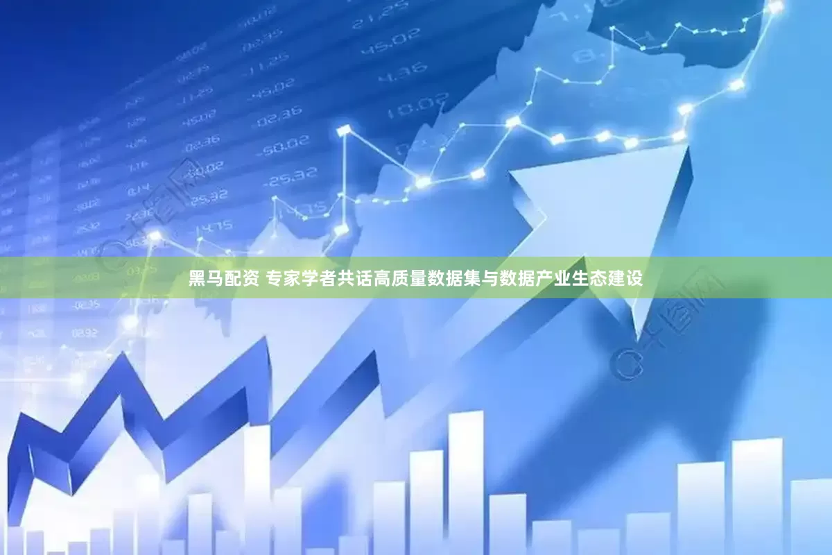 黑马配资 专家学者共话高质量数据集与数据产业生态建设